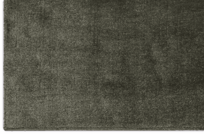 environment image